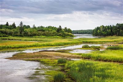 Kouchibouguac National Park